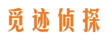 平罗市场调查